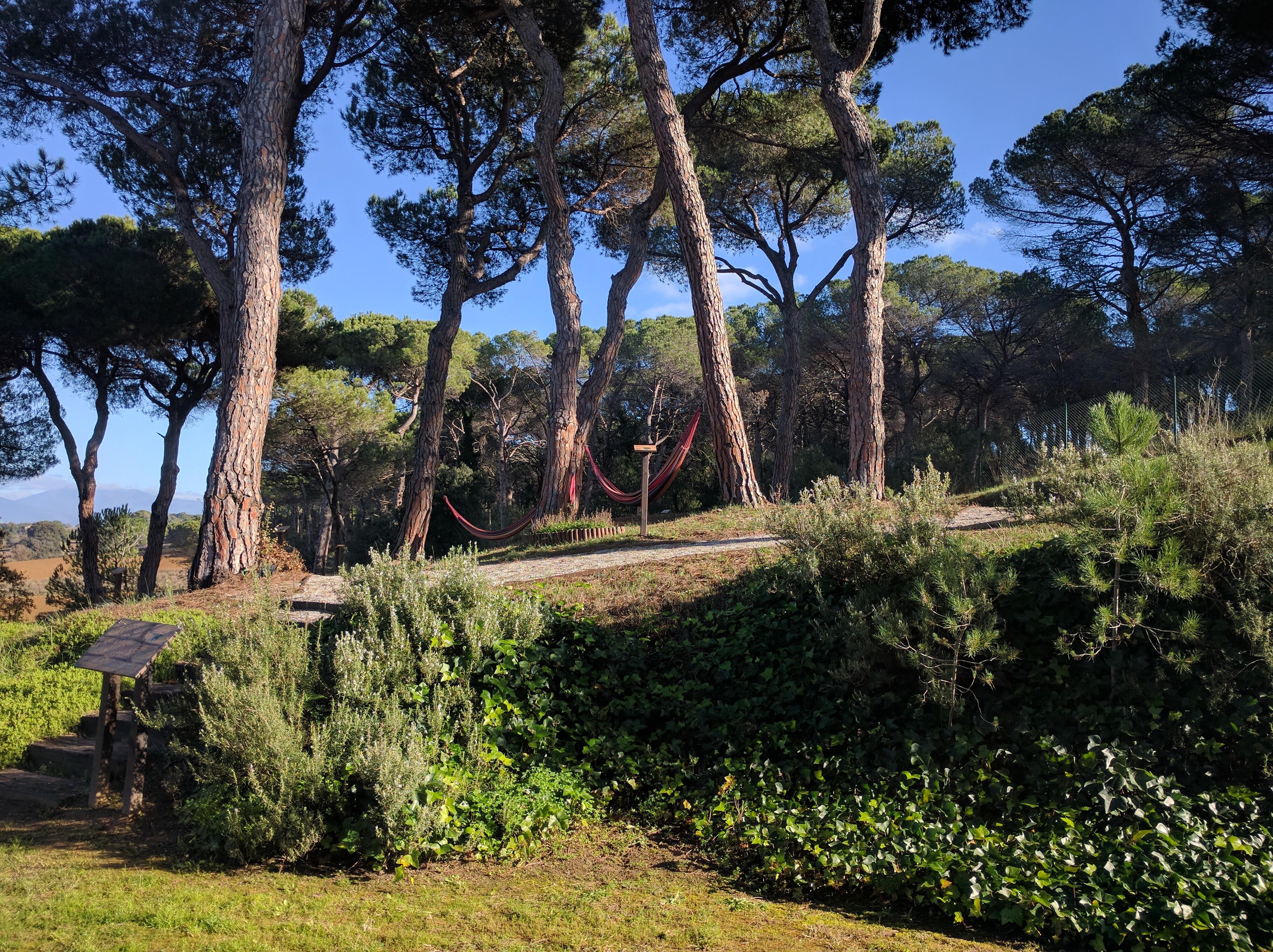 Augusta Barcelona Valles Granollers Bagian luar foto